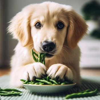 Can Dogs Eat String Beans