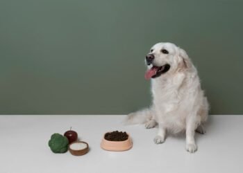 Can dogs eat green beans?