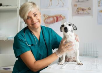 potassium bromide for dogs