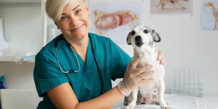 potassium bromide for dogs