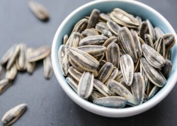 can dogs eat sunflower seeds