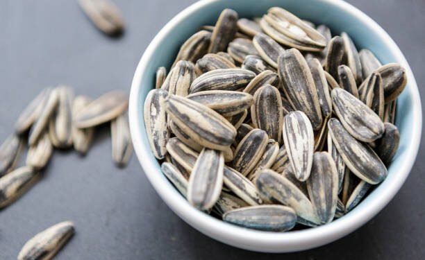 can dogs eat sunflower seeds