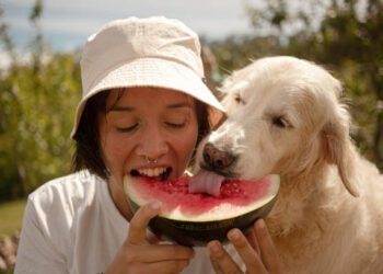 Can Dogs Eat Watermelon