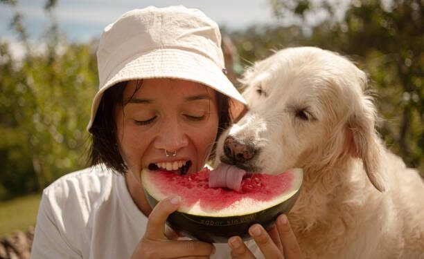 Can Dogs Eat Watermelon