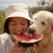 Can Dogs Eat Watermelon