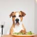 raw food diet for dogs