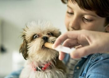 Previcox®, firocoxib