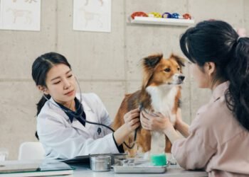 Marbofloxacin (Zeniquin®)