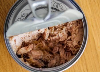 can dogs eat canned tuna