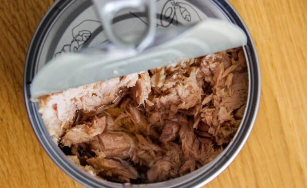can dogs eat canned tuna