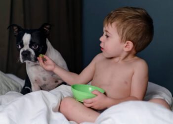 Can Dogs Eat Grapes?