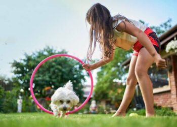 January is National Train Your Dog Month: How to Celebrate and Participate