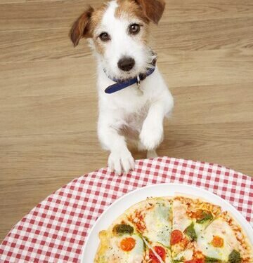 Can Dogs Eat Pizza? Unveiling the Truth About Canine Cuisine