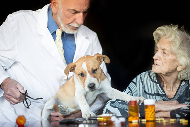 Cyproheptadine for Dogs