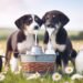 Can Dogs Enjoy the Dairy Delight of Milk?