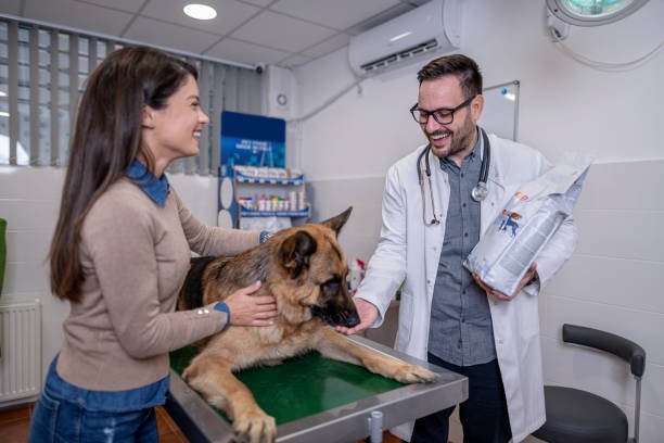 Essential Drug Information for Doxycycline in Veterinary Use