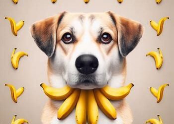 Dogs Eat Banana Peels