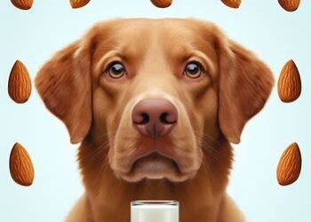 Dogs Eat Almond Milk