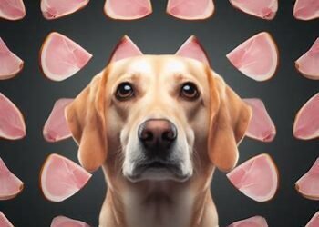 Dogs eat ham