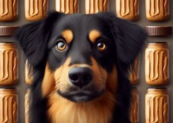 Dogs Eat Peanut Butter