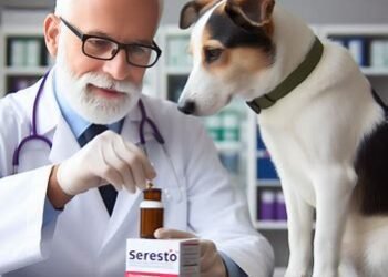 Seresto® for Dogs