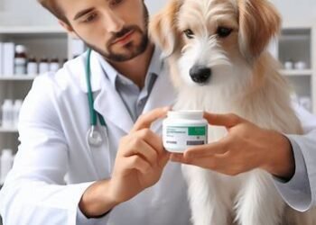Zithromax® for Dogs