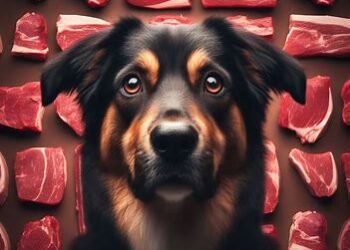 Dogs Eat Raw Meat
