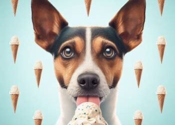 Dogs Eat Ice Cream