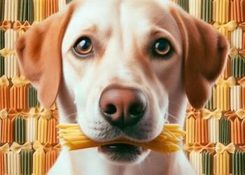 dog eating Pasta