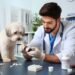 Diazepam for Dogs