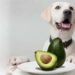 Can Dogs Eat Avocado
