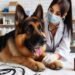 Terramycin®