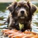 Can Dogs Eat Fish: Understanding the Nutritional Benefits and Risks
