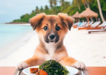 Can dogs eat seaweed?