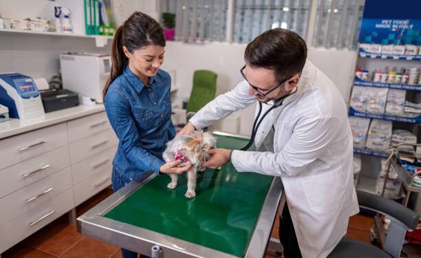 Tetracycline for Dogs