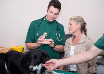 Advantage® for Dogs