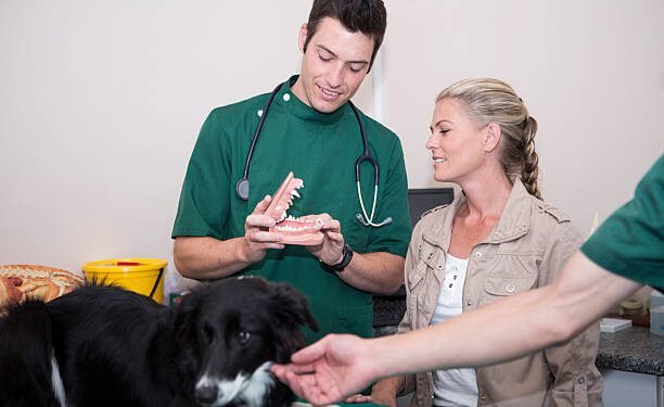 Advantage® for Dogs