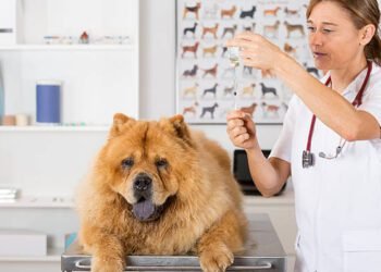 Amitriptyline Hydrochloride for dogs
