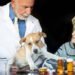 Side Effects of Pet Medications for Dogs