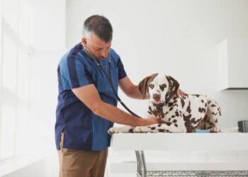 Enalapril maleate for Dogs