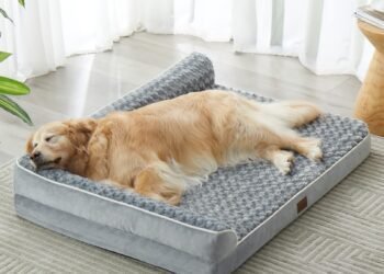 Best Dog Beds for Large Dogs: Comfortable and Durable Options