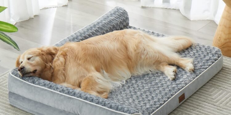 Best Dog Beds for Large Dogs: Comfortable and Durable Options