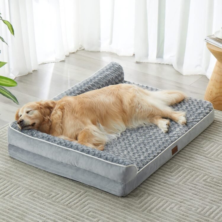 Best Dog Beds for Large Dogs: Comfortable and Durable Options