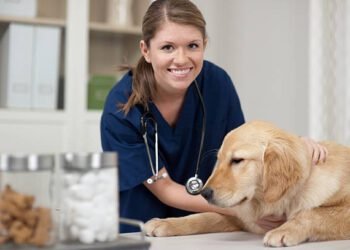 Triamcinolone Acetonide