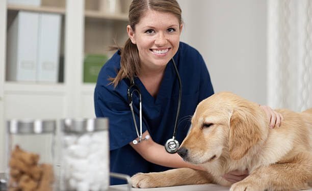 Triamcinolone Acetonide