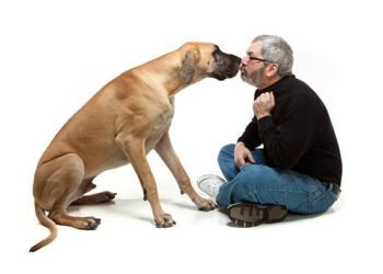 Smooch Your Pooch or Not: The Pros and Cons of Kissing Your Dog
