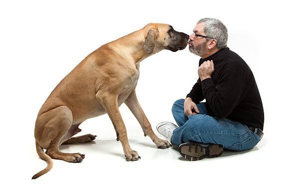 Smooch Your Pooch or Not: The Pros and Cons of Kissing Your Dog