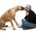 Smooch Your Pooch or Not: The Pros and Cons of Kissing Your Dog