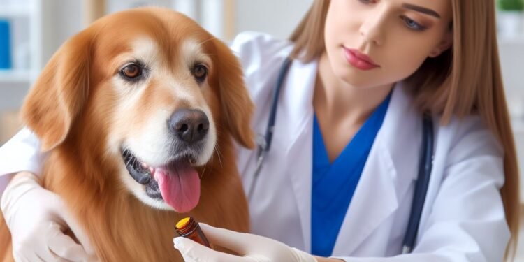 Griseofulvin for Dogs: Benefits, Dosage, Side Effects, and More ...