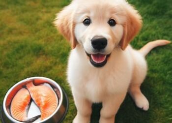 Can Dogs Eat Salmon Skin